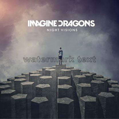 Picture of Night Visions